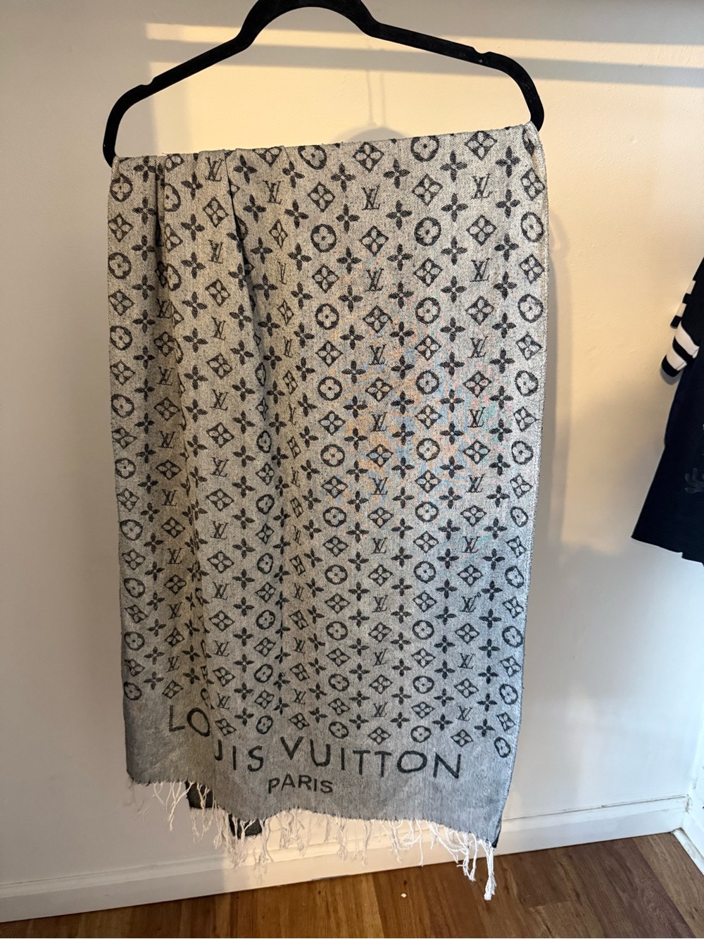 Louis Vuitton Gray Monogram scarf